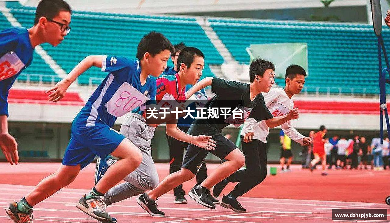 关于十大正规平台